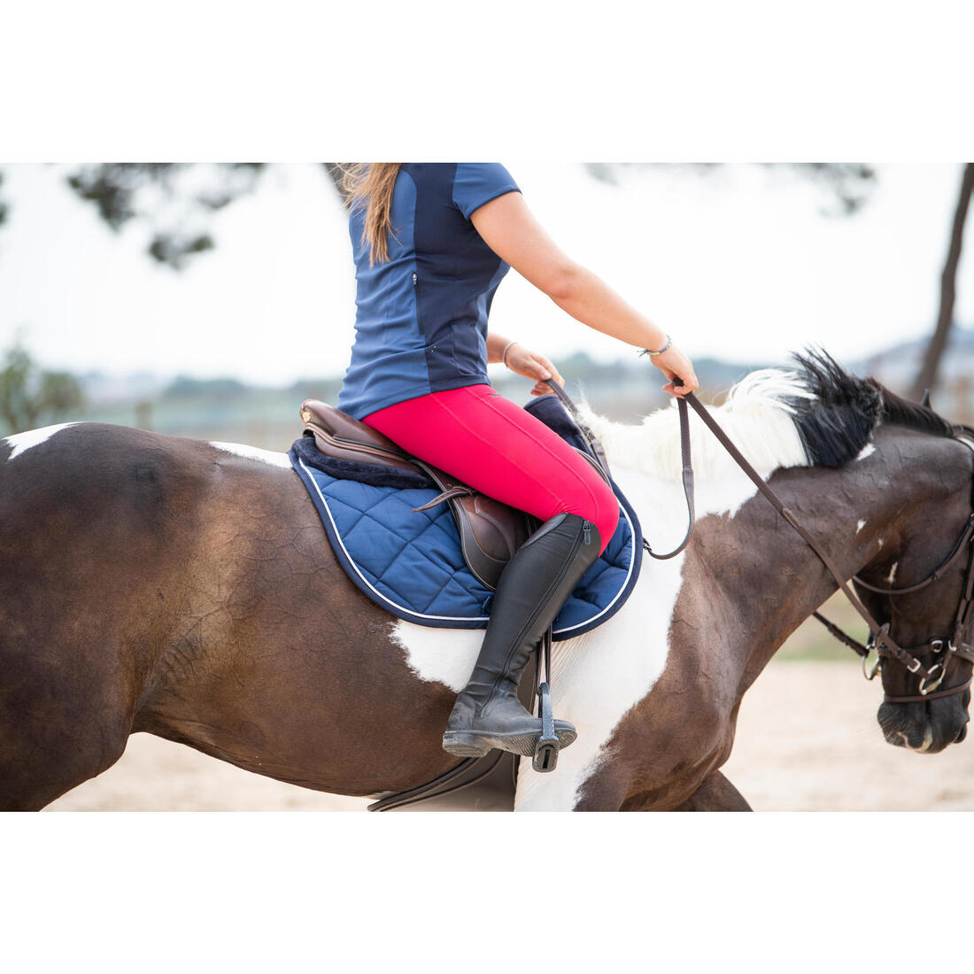 IMG_8558417_3