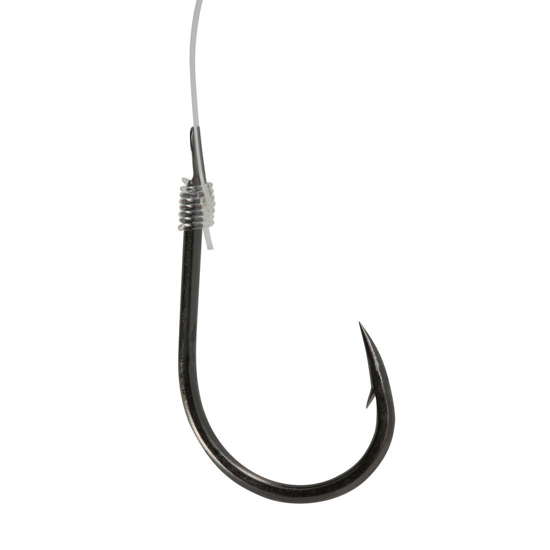 IMG_8349330_9