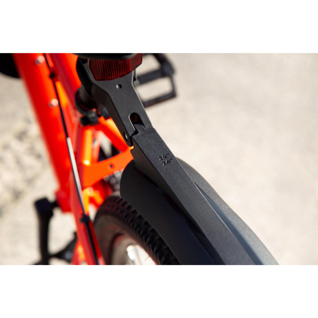 IMG_8615206_12